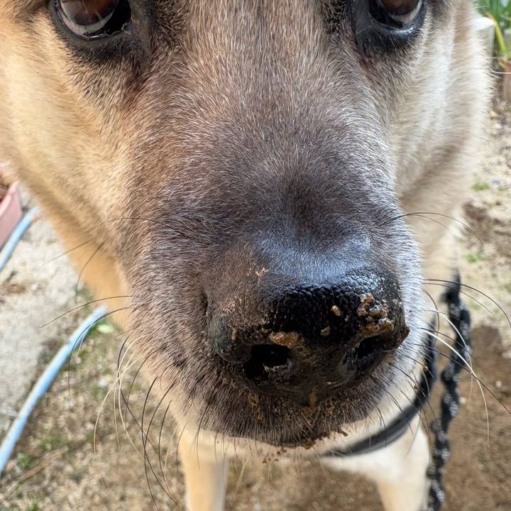 6dbd7c8b 46fd 41da 9a8d bd767423a5ac 1741429478678