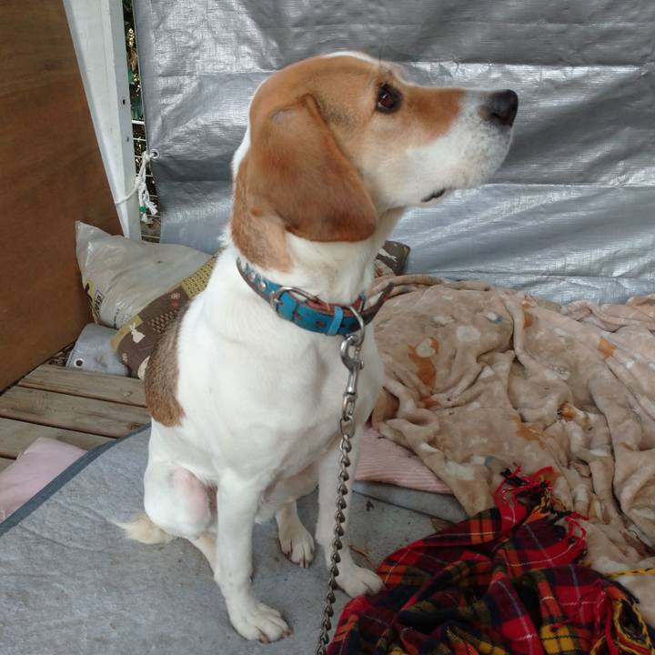 6dbdcac5 ef4b 49d2 872e afe11059ddbc 1608713443451