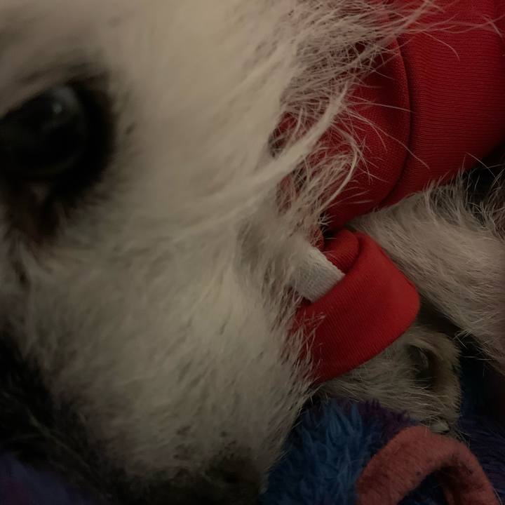 6dbde5a2 6f85 4066 bed8 489f4b231a55 1646316350662