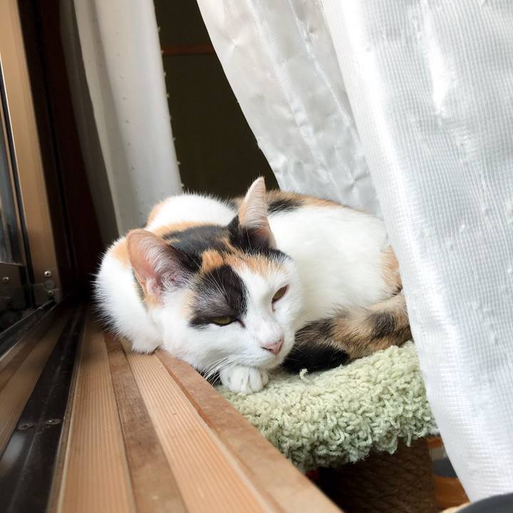 6dbdebd5 d42f 4d3d b720 a981dcd59899 1510465949384