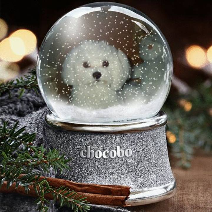 6dbe0063 3873 4b26 abf0 a176e35eb6d4 1513648480153