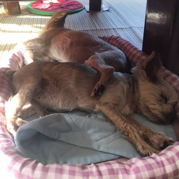 6dbe0950 f44c 469a b82c d4428aedbc7b 1598351183998