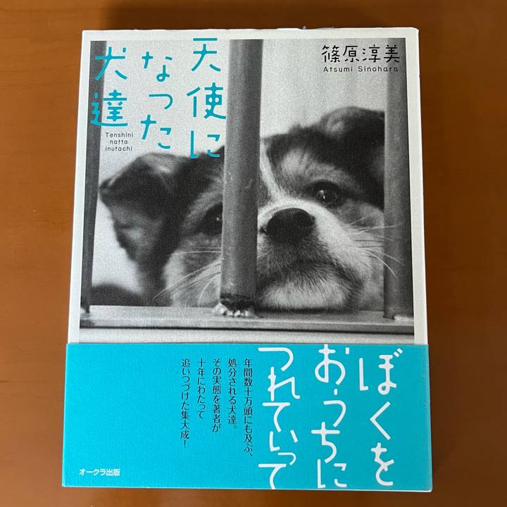 6dbe19d0 db4a 4ce7 a74d 22687def89c5 1661305725456