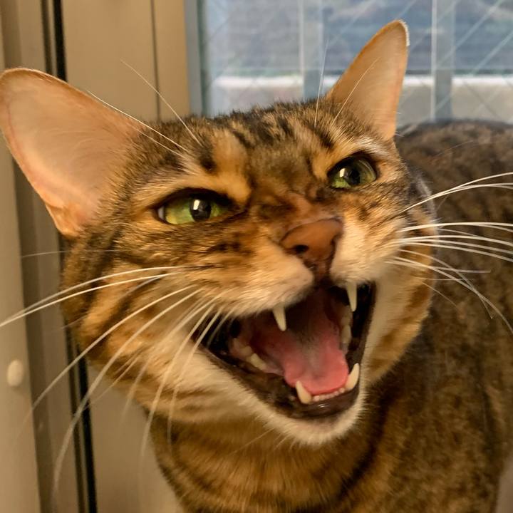 6dbe33c0 aae2 4208 bc82 6380f49e0061 1598744764245