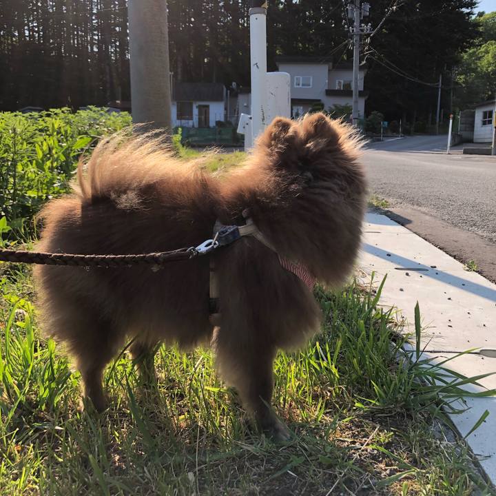 6dbe4808 b8cd 4b9b 838e 948d53fa1617 1623203839596