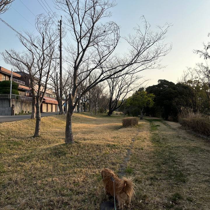 6dbe6eac 4995 4ba7 851e f41f367166f2 1743028702997