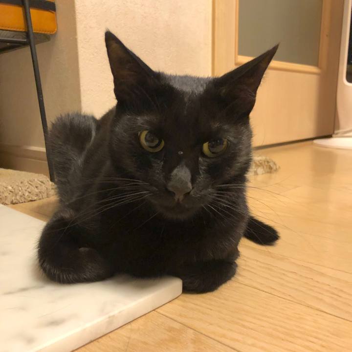 6dbe8a9c 71ed 4590 bafe 8d60cc10eb91 1567161747152