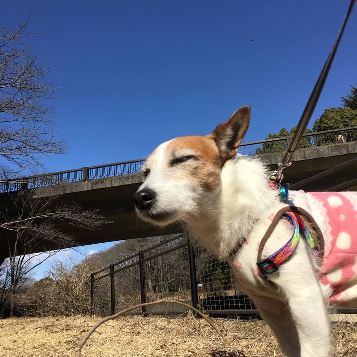 6dbeaddb 9e3b 45e5 9113 6e5a223f2bbc 1646004275472