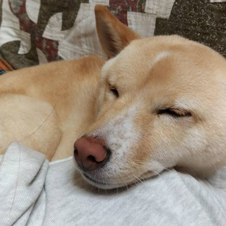 6dbebea8 ebf6 4737 aaf7 6b3c9a31f5ff 1515324753070