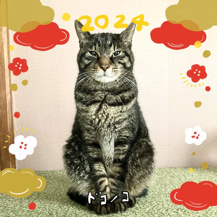 6dbec72f 10f5 4a59 b0ef 2ffb1adceeb9 1704178255290