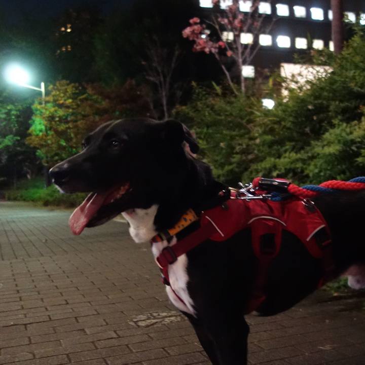 6dbf0be8 ec8a 434a 9c96 f9113a1211fb 1601636952310