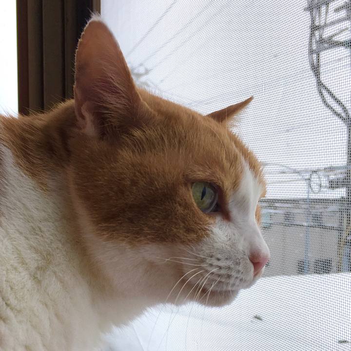 6dbf462b 285c 4e1a adb9 a53a364f4eb3 1608016154276