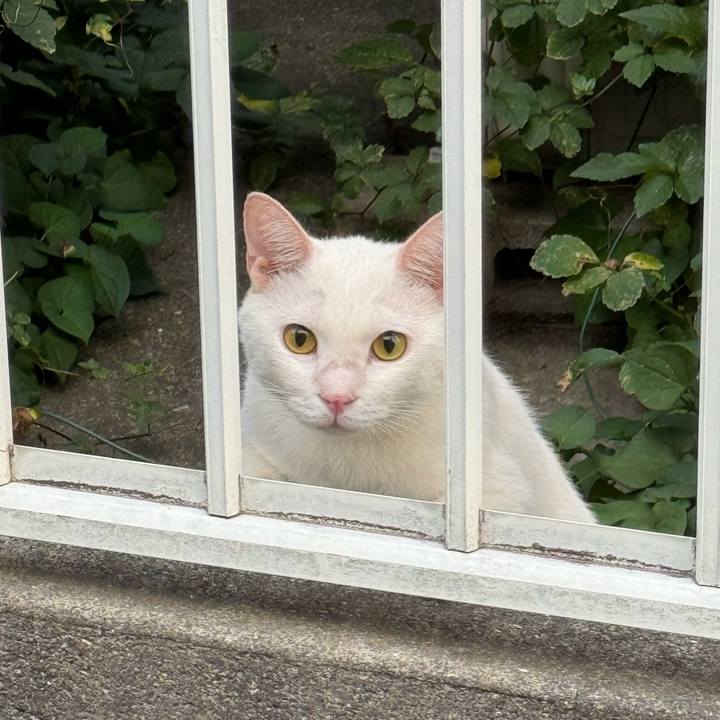 6dbf46c9 774b 41de ab8a 60189e871694 1755812833613