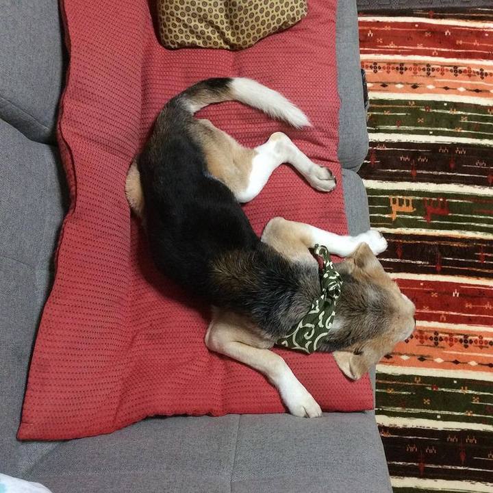 6dbfce92 f746 4d5b ad9b d2d24ac4da52 1625714716436