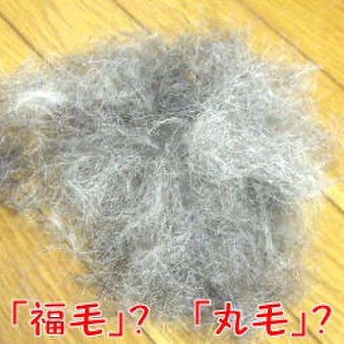 6dbfd75d b5a2 404d b1d0 45883461341a 1720125120560