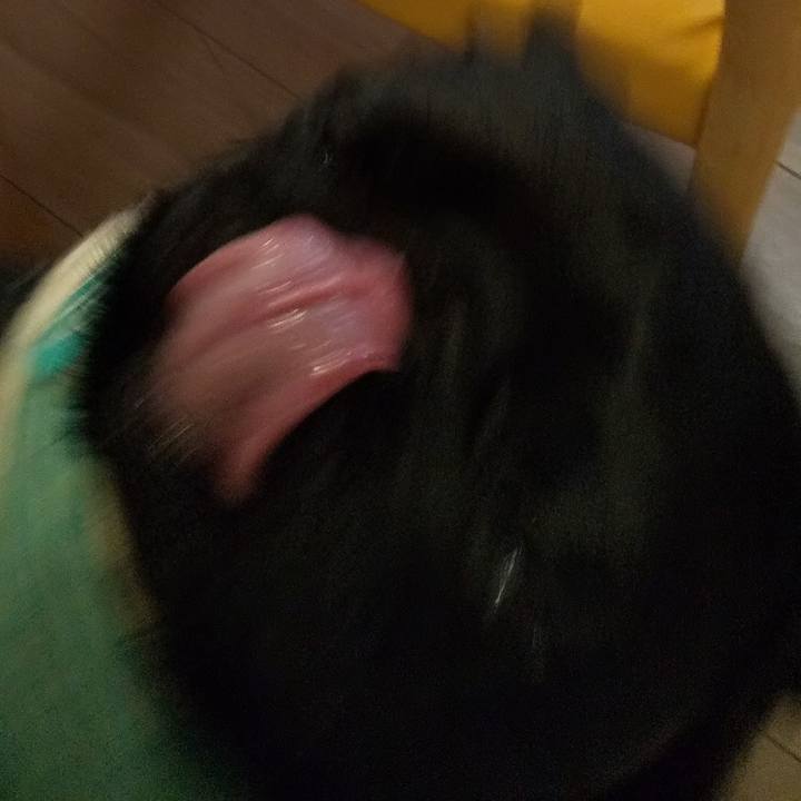 6dbfdc5e 3f8b 498c ac6e da97803198b0 1554876585959