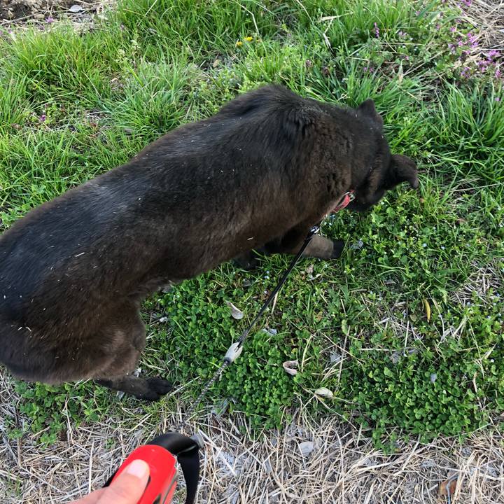 6dc0099c e1c7 4c84 9f42 fa3aefa59007 1552463592780