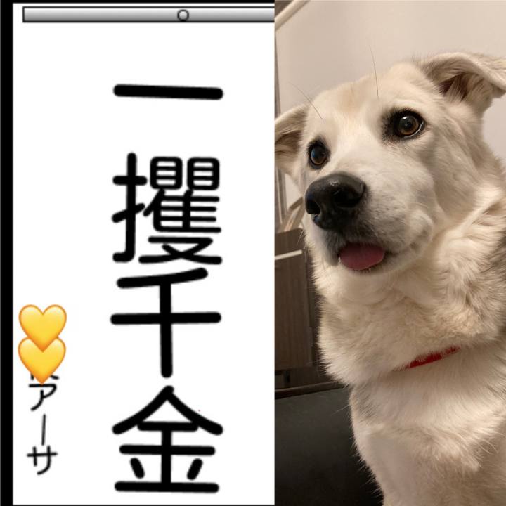 6dc009cb 761f 4574 892e 6d5e112d5a9e 1641185809205