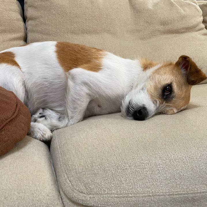 6dc0114a 67cb 487b 88fe 05f4a83013c8 1596948158175