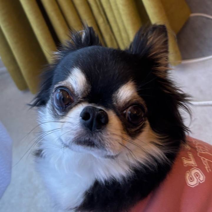 6dc0515d 16f3 4694 a8f7 e016e1aedc11 1739290112183