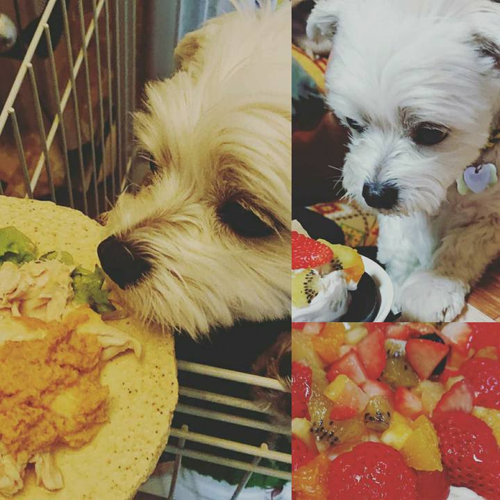 6dc07999 d9e8 4993 b440 41d208f11e9b 1577246619770