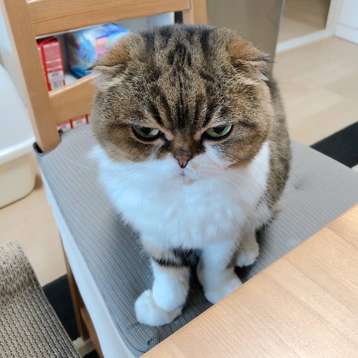 6dc092b3 74d7 43e9 80a1 bf7d1d078d6f 1589806177565