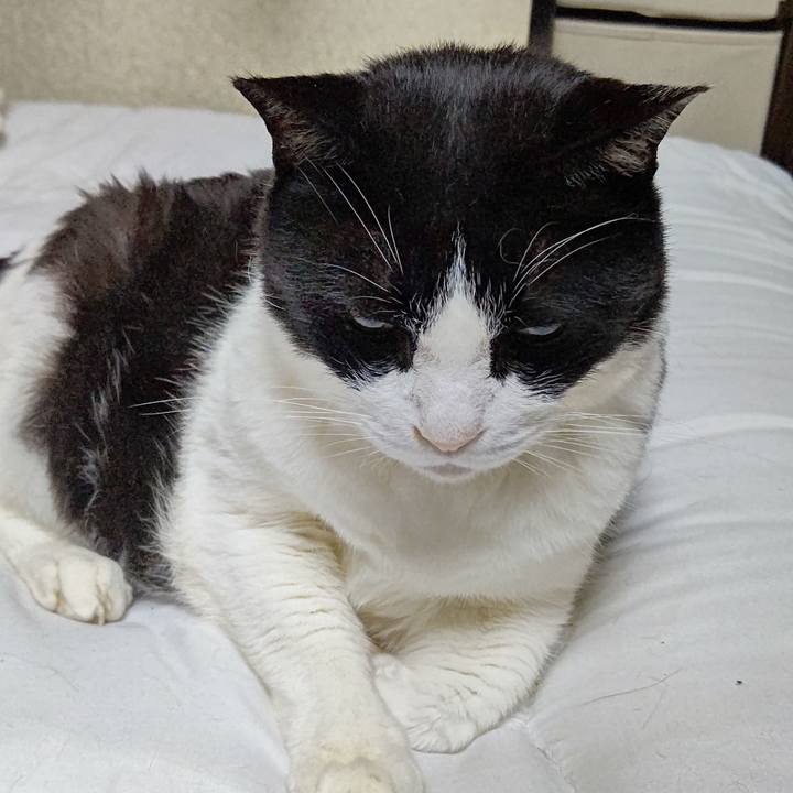 6dc0b06f 275e 4ca2 8f84 03cbe98be7bb 1657055893608