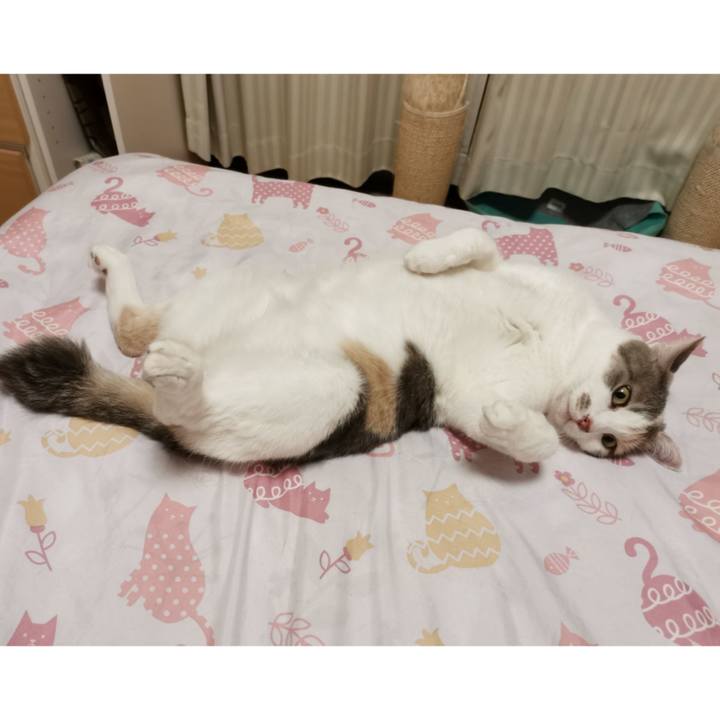 6dc0e4d8 563e 4d48 b512 cc984670c57e 1621953082342