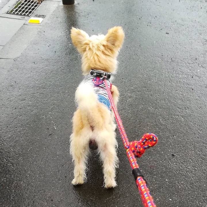 6dc0e627 3a5f 4693 b2bb 22e78324f578 1534557925721