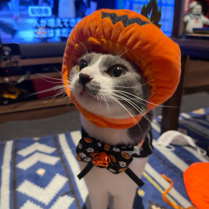 6dc0f8f8 9742 4364 b6cf 98605c15ec8e 1667202252792