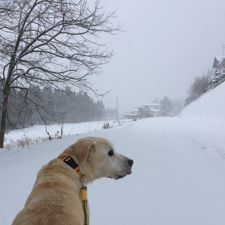 6dc1004e 8fc1 4d11 aa19 d7be26b3718a 1514357354809