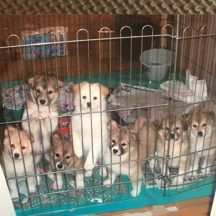 6dc15606 901b 4c5f 90a5 e4bf11745cd6 1531703675048