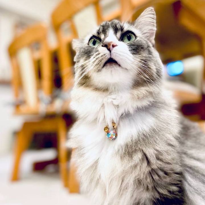 6dc15735 8762 4fae 8d41 8182af97a71d 1753112224969