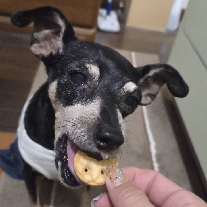 6dc171cf 9e9a 4b7d a779 83a6129f4987 1758569966826