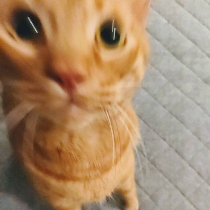 6dc1b934 0090 4193 9f99 d001a49f31ab 1641383315781