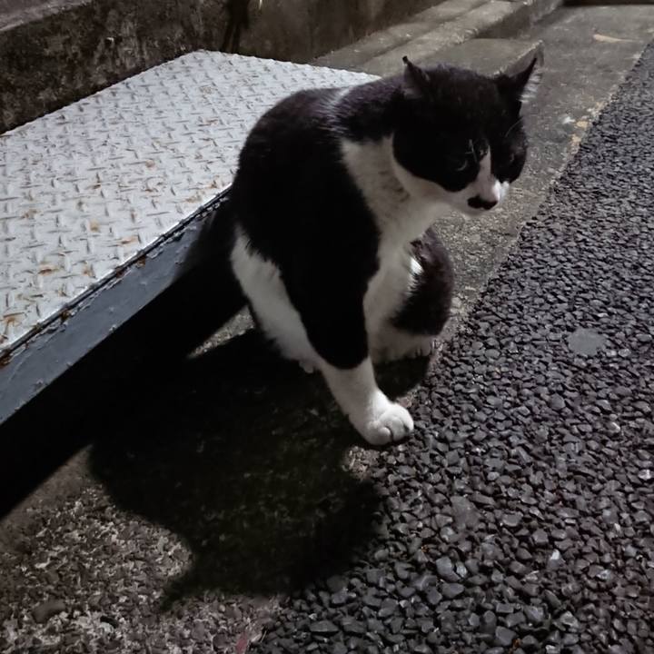 6dc1d01b bfde 446a 941f 7b004e85c9b5 1606090872872