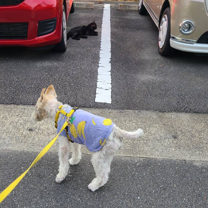 6dc26936 aa8b 4f83 82bf a9d720106a93 1693438022083