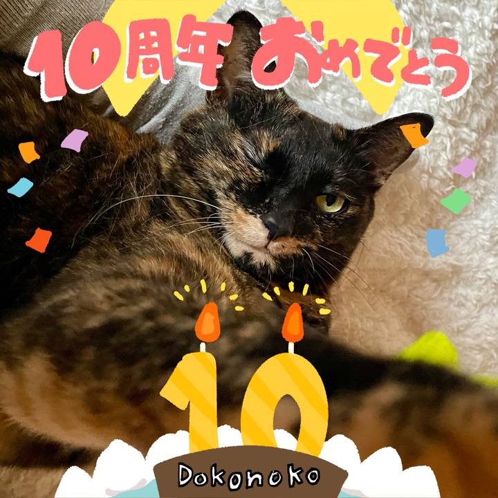 6dc293da f50d 4e10 9666 2ac35eea6ebb 1780826400396