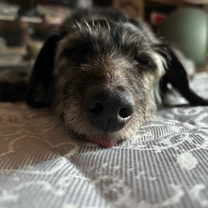 6dc2a1f8 39ba 4917 8460 0b8620737a7e 1720392486088