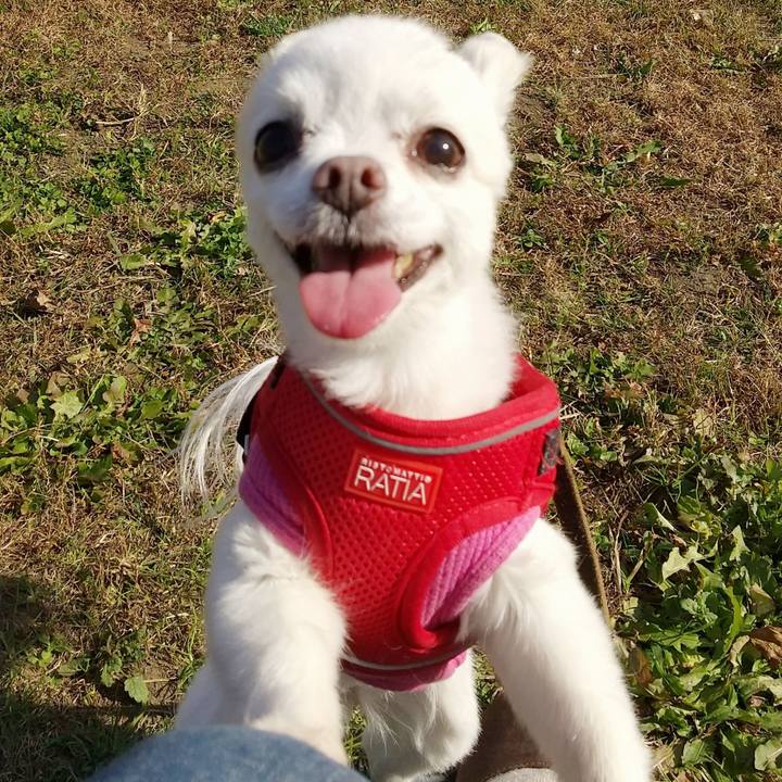 6dc2a979 b2d7 48c8 8282 32d3fb505eef 1605445255014