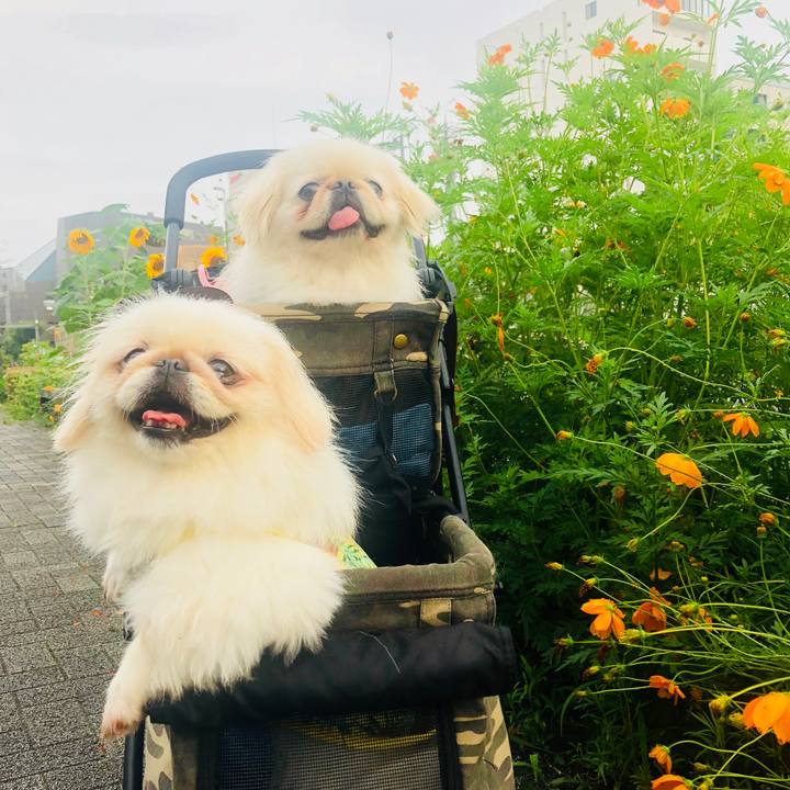 6dc2b80c 0f65 491a b0f8 a1a02023bd34 1563851995796