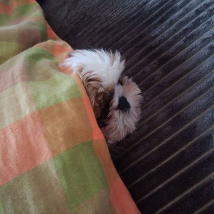 6dc2f489 6709 4394 a937 016f0279bbde 1544315013512