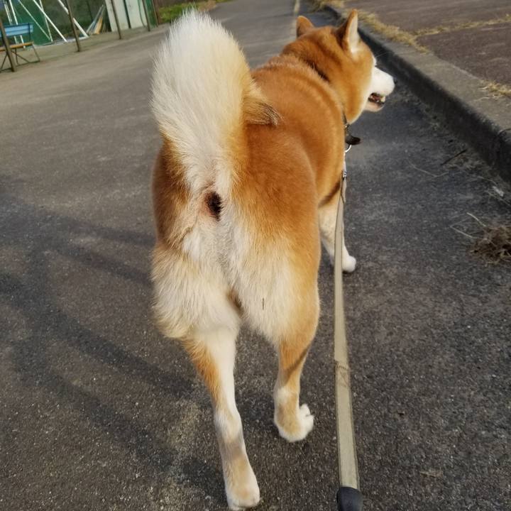 6dc2f58a b00a 4c3d bfe1 c33734583d8c 1636353599651