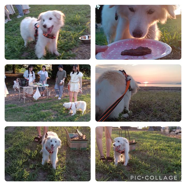 6dc31b51 7613 4446 af12 4a13c833a725 1753188771518