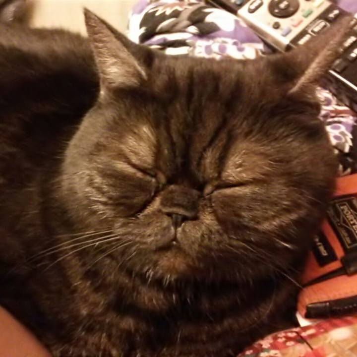 6dc3223f 5e8f 4367 ba76 fd4b244a29dc 1545481762679