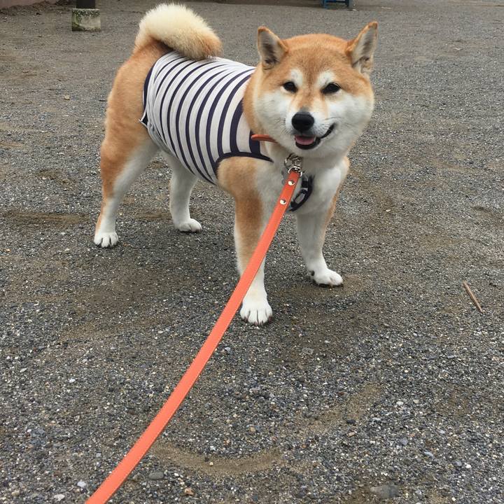 6dc3411d e9ed 4d5b a739 dc6c553b83f2 1563409520087