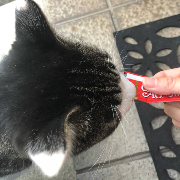 6dc3486c 3638 40d4 a47c dad43f999a4b 1540120525093