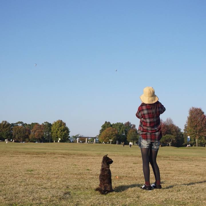 6dc38f50 80de 473a 8fee b0520491804a 1510890082753