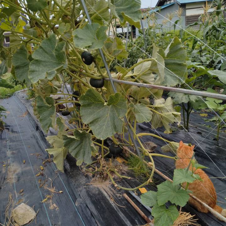 6dc3c97d 90a2 4dfa b46e ddc6e537e3bb 1721120966601