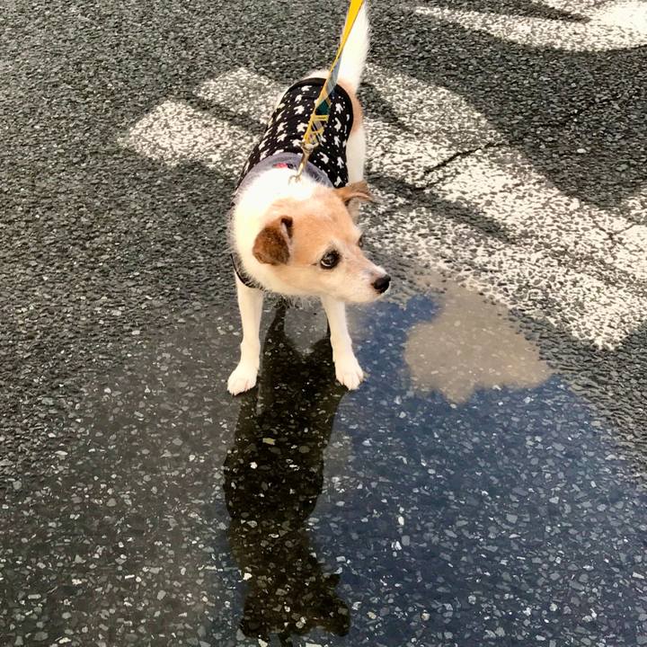 6dc3ef20 c07d 4b66 a6d4 114d2e88cc79 1663452905988